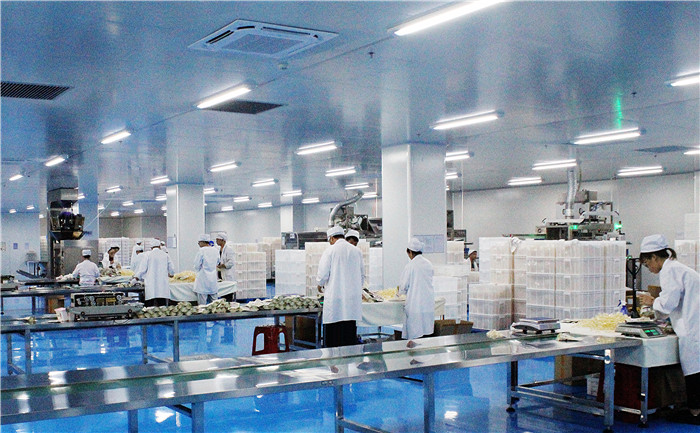 Explore Our Factory